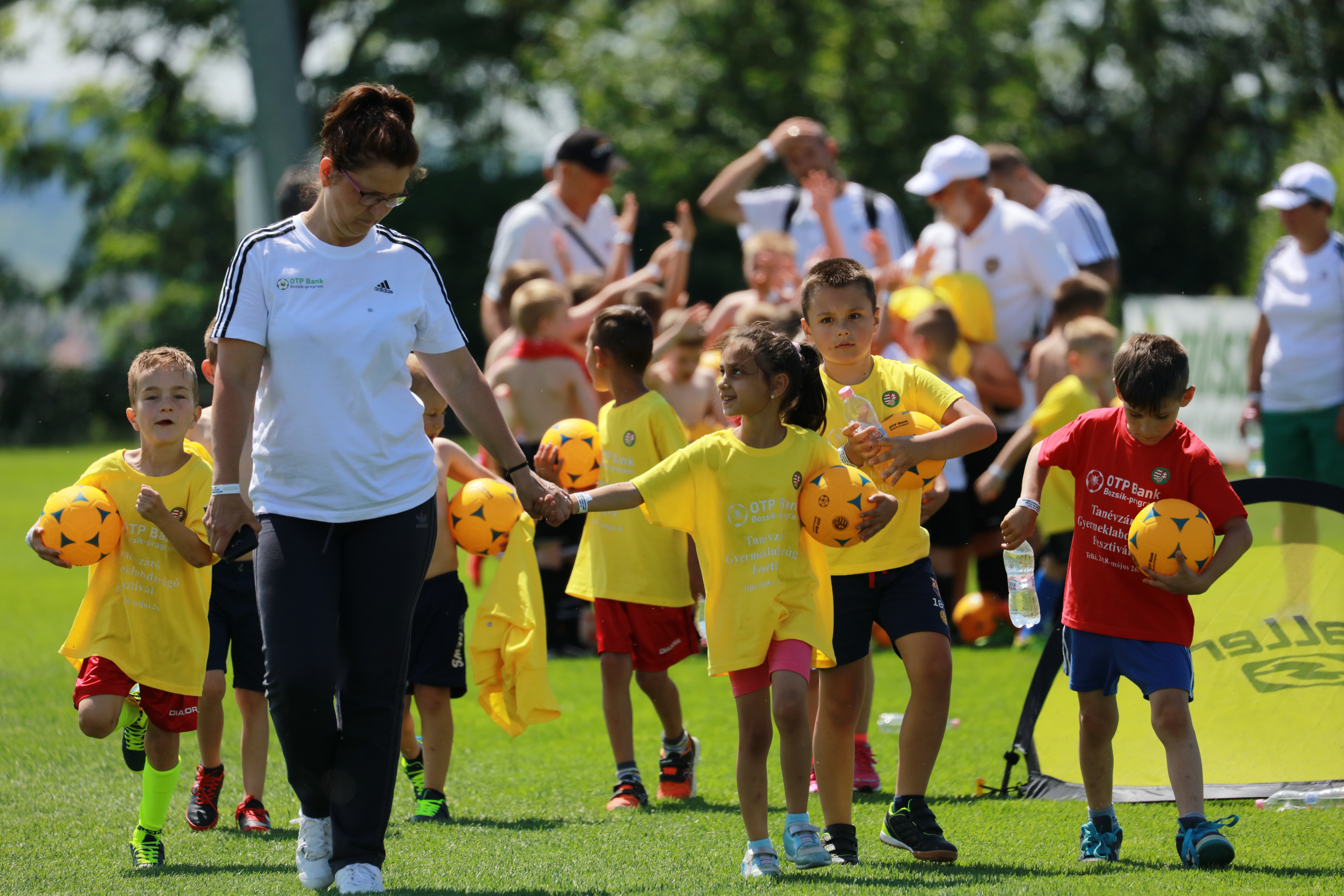 MLSZ Grassroots Alap tanfolyamok indulnak 