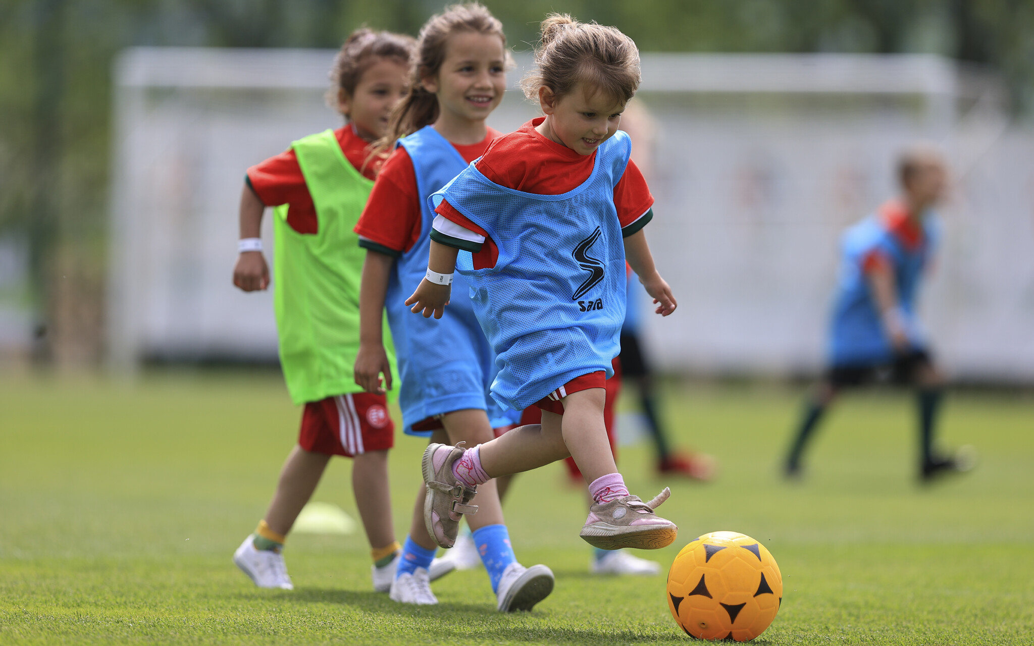 Tavaszi MLSZ Grassroots Alapképzés