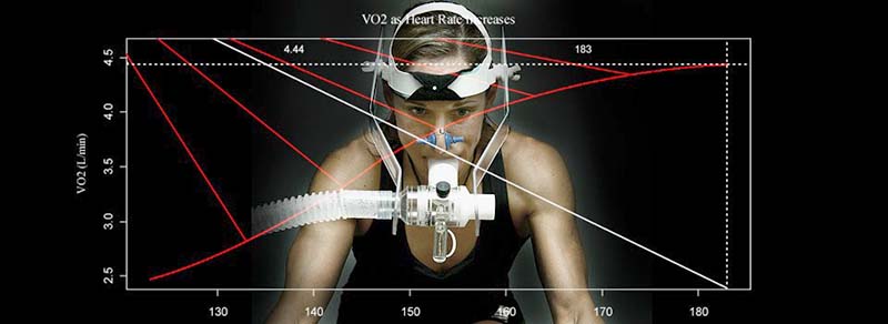 ELMARAD_Csapatorvos képzés és licensz megújító képzés